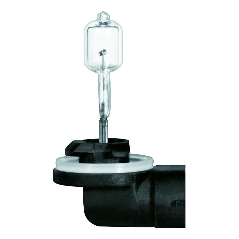 Par De Ampolletas 50w, 12v, Pgj13 (halogeno)