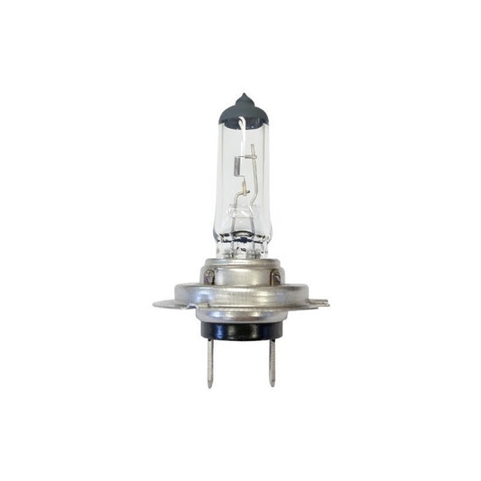 Par De Ampolletas H7, 12v. 55w (incoloro)