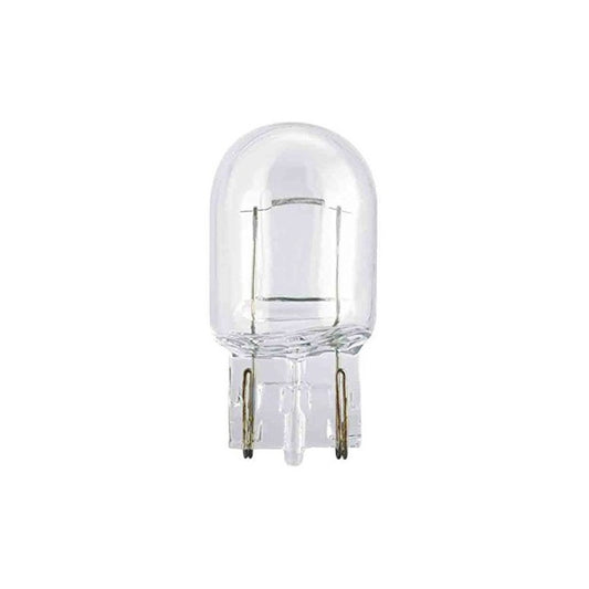 Par De Ampolletas  21w, 12v (tipo Cola De Pez Grande)